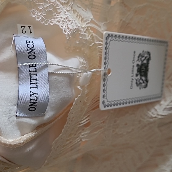 Flower Girl Dress - Size 12 - Picture 5 of 7